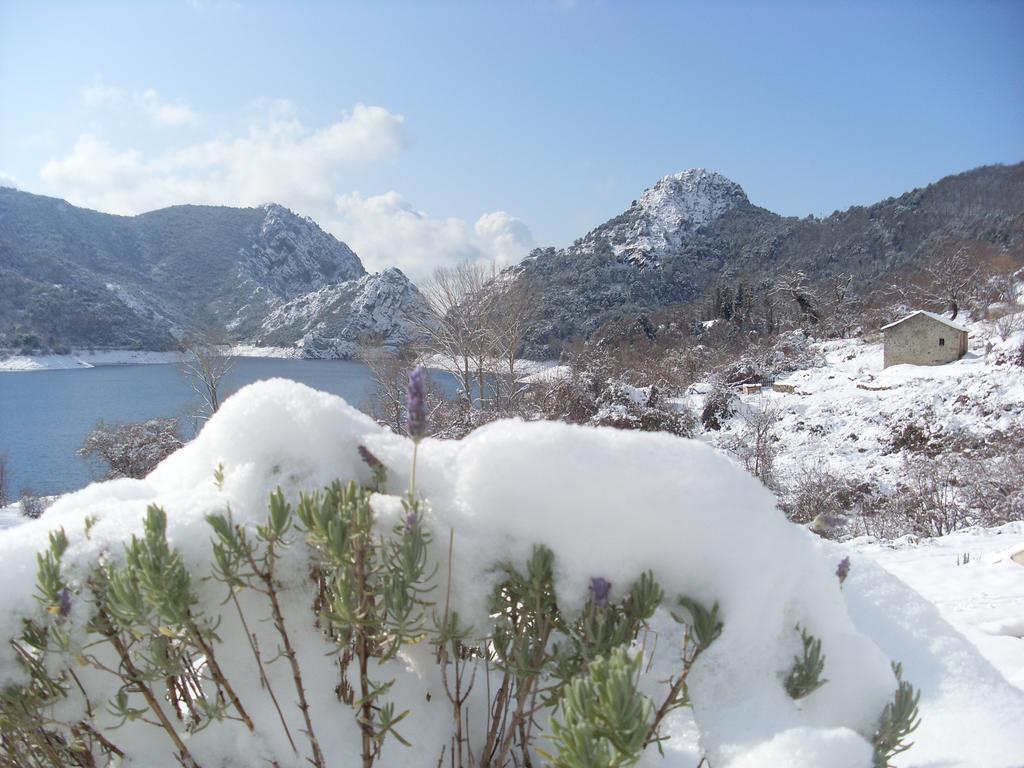 Côté Lac Tolla Camera foto